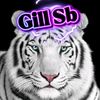 dr.shakeelgill214