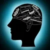 Human Psychology
