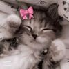 angelll_thebestt
