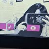nn_sysya