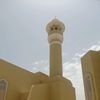 ali_8439