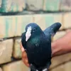 حسافه🍃