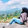 anisalqurni