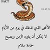 fouf555