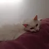 mylullaby98