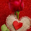 ahlaam2346