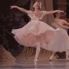 gracefullyenpointe