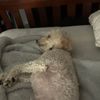bryan_smith123456