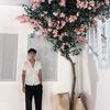 seifsamir_0