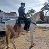 benjaminreynoso43