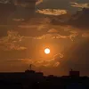 kaniibarzanii