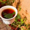 nooma_19
