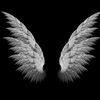 angel.asseri