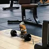 fitness00.t