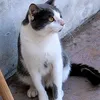 laura770555