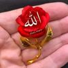 waseemali3496057861525