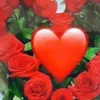 dyov7tookfbv