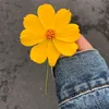 Hijrah Hawa🌷