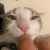 ilnoa123