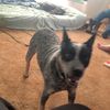 alli_8852._