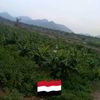 abus3ltan