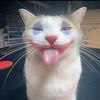 dyyy5557