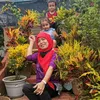 anaaffandi1