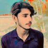 shahzadiqbal33