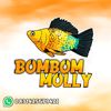 bombommolly