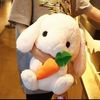saru.saru200
