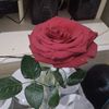 heyru341