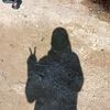 onyourm_ahh