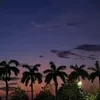 userjv8qbrn15n