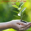 user1dq3ejafsn