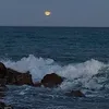 svetascey