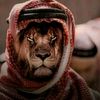 عبدالله المشحن