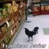 franciscojavierfaustao