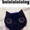 nikkichan_uwu_
