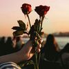 user928820msd