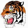 tigerthapa00