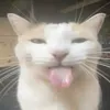 oliveira_eom