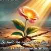 tivivoce