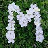 mariammohamed1710