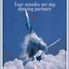 your.missiles.are.my