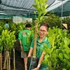 Cây Giống Cai Lậy