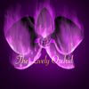 thelivelyorchid
