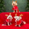 lovemypups_pickles