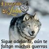 hectorsilva1483