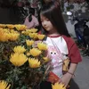 xuanthangkt
