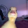 ️